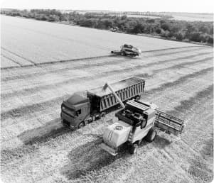 Industry-Leading Image